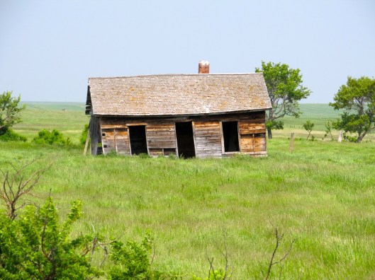 Sea Shells by the Grassy Sea Shore