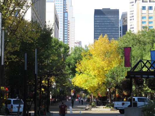 Autumn Leaves in the City