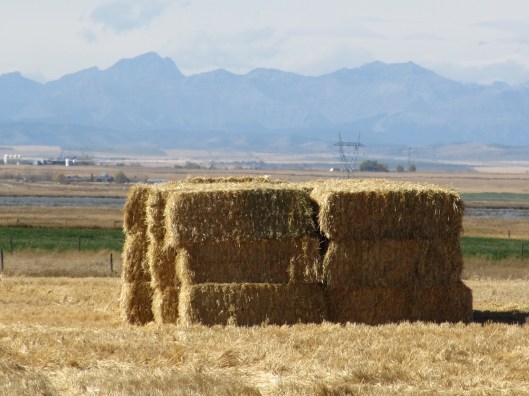 Hay Bales and Mountains in Distance