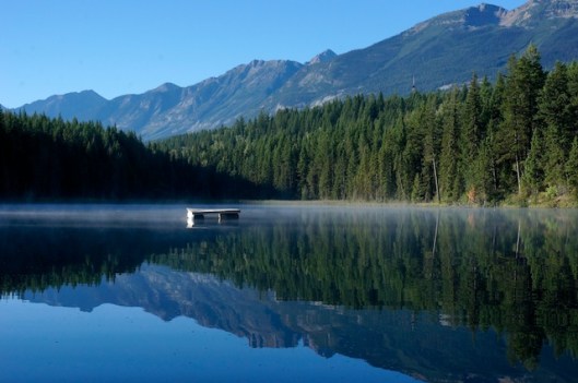 No thoughts here... Only awe