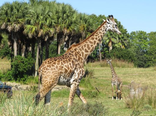 Love, leaning over the next generation...