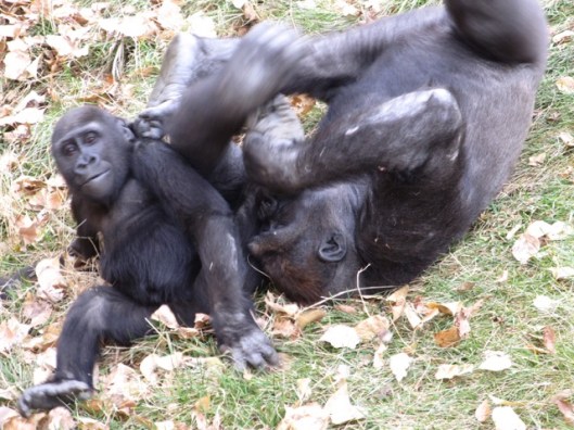 You don't have to blur your eyes, I blurred them for you