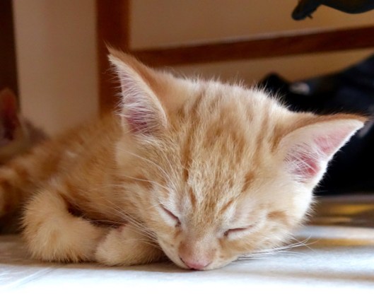 Couldn't help put this one first...