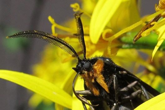 IMG_2511 - Version 2