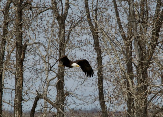 E69C3B66-A61D-45E7-936C-7192D6E2FD63